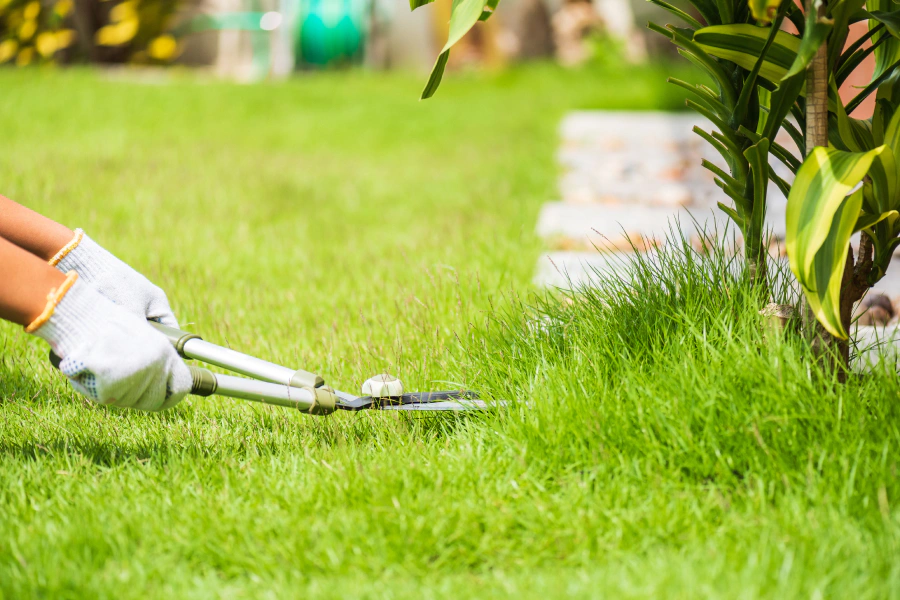 lawn care in a residential house temple tx