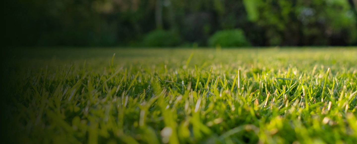 lawn care services temple tx