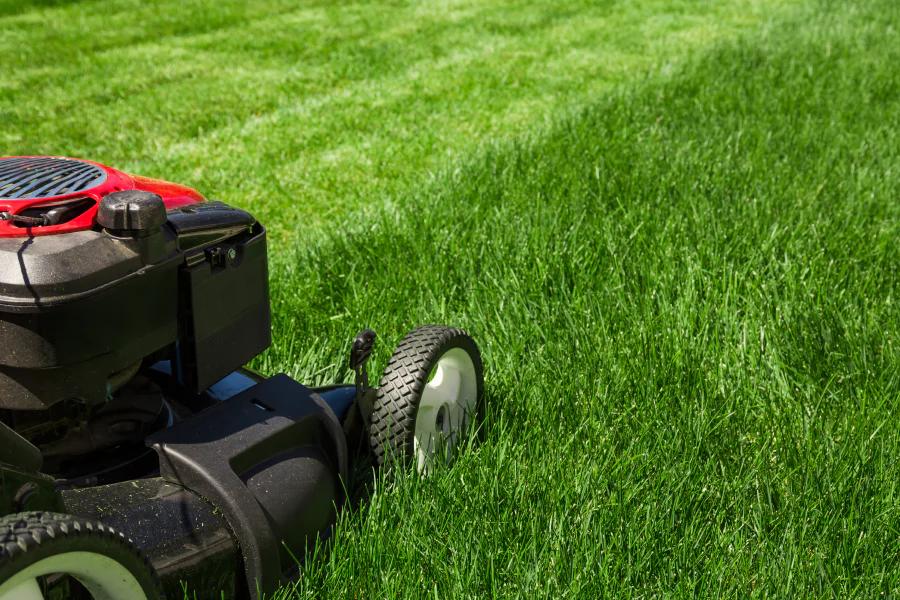 lawn mowing salado tx