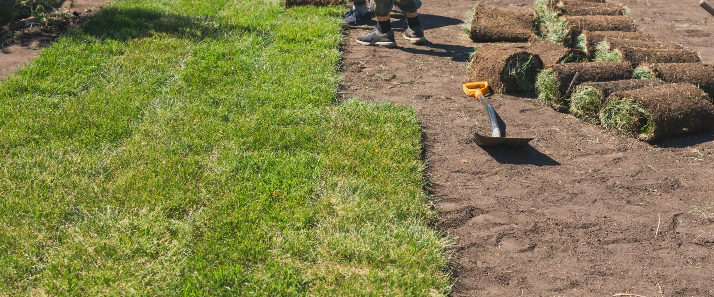 sod installation hero
